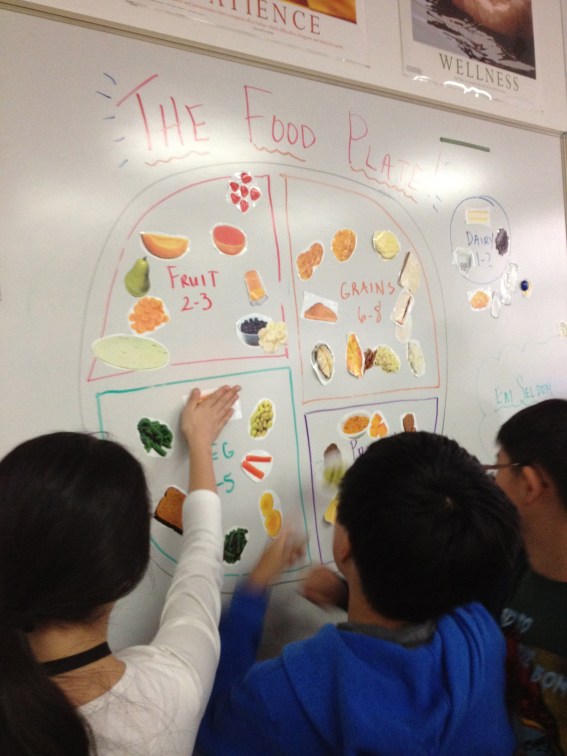 Food Groups! -6th Grade